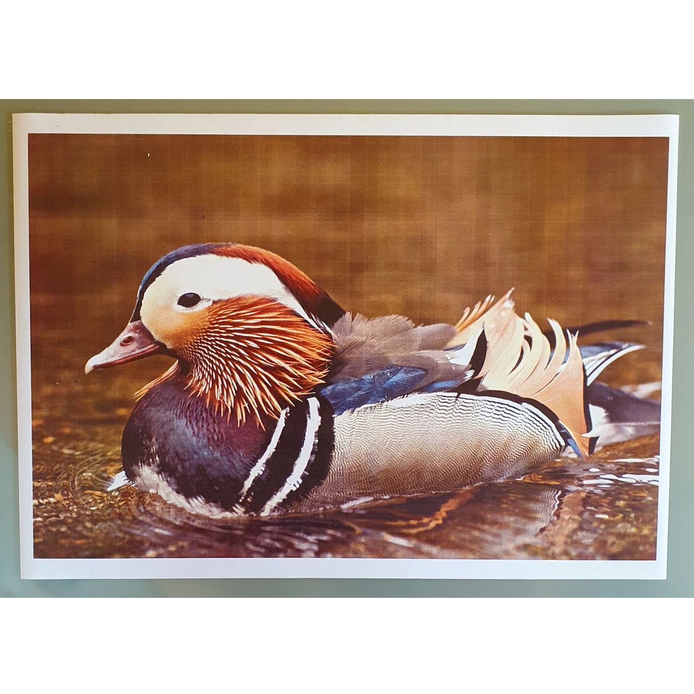 Tamburo-Originale-Universale™ -OKI-per-C711WT-Bianco-6.000 Pagine-44318529