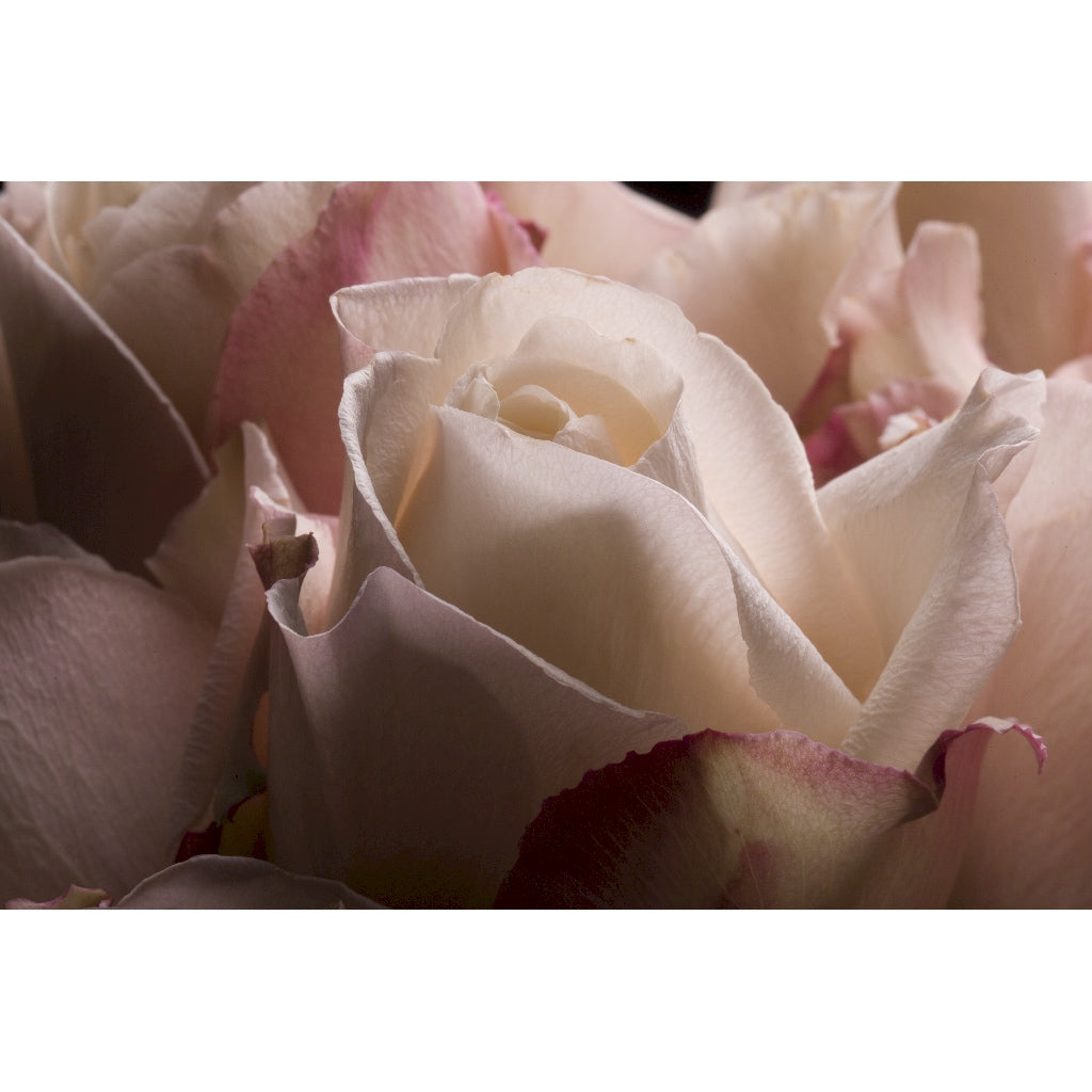 Tamburo OKI C931 C911 - Originale - Nero - 45103716 da 40.000 Pagine A4