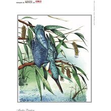Carica l&#39;immagine nel visualizzatore di Gallery, Toner Dell c1660w colour - Compatibile - Magenta - 1660M da 2.000 pagine A4
