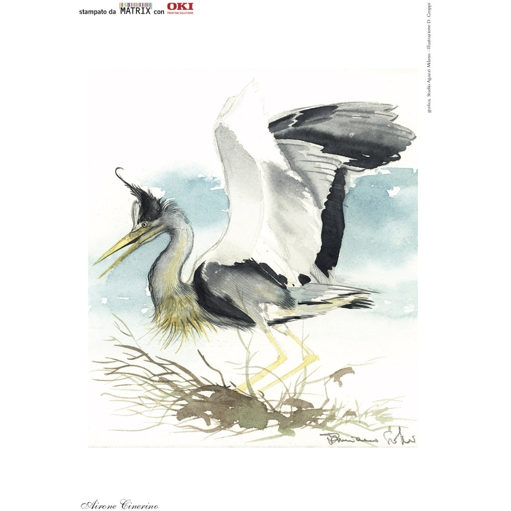 Tamburo OKI ES5430 ES3451 - Originale - 4 Colori - 01282901 da 20.000 Pagine A4