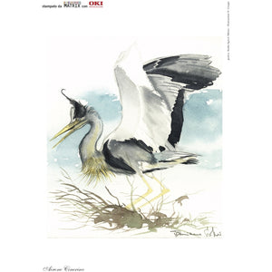 Cinghia OKI ES2632a3 - Originale - Neutro - 01206701 da 80.000 Pagine A4